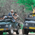 A Beginner’s Guide to Photography at Jhalana Panther Safari