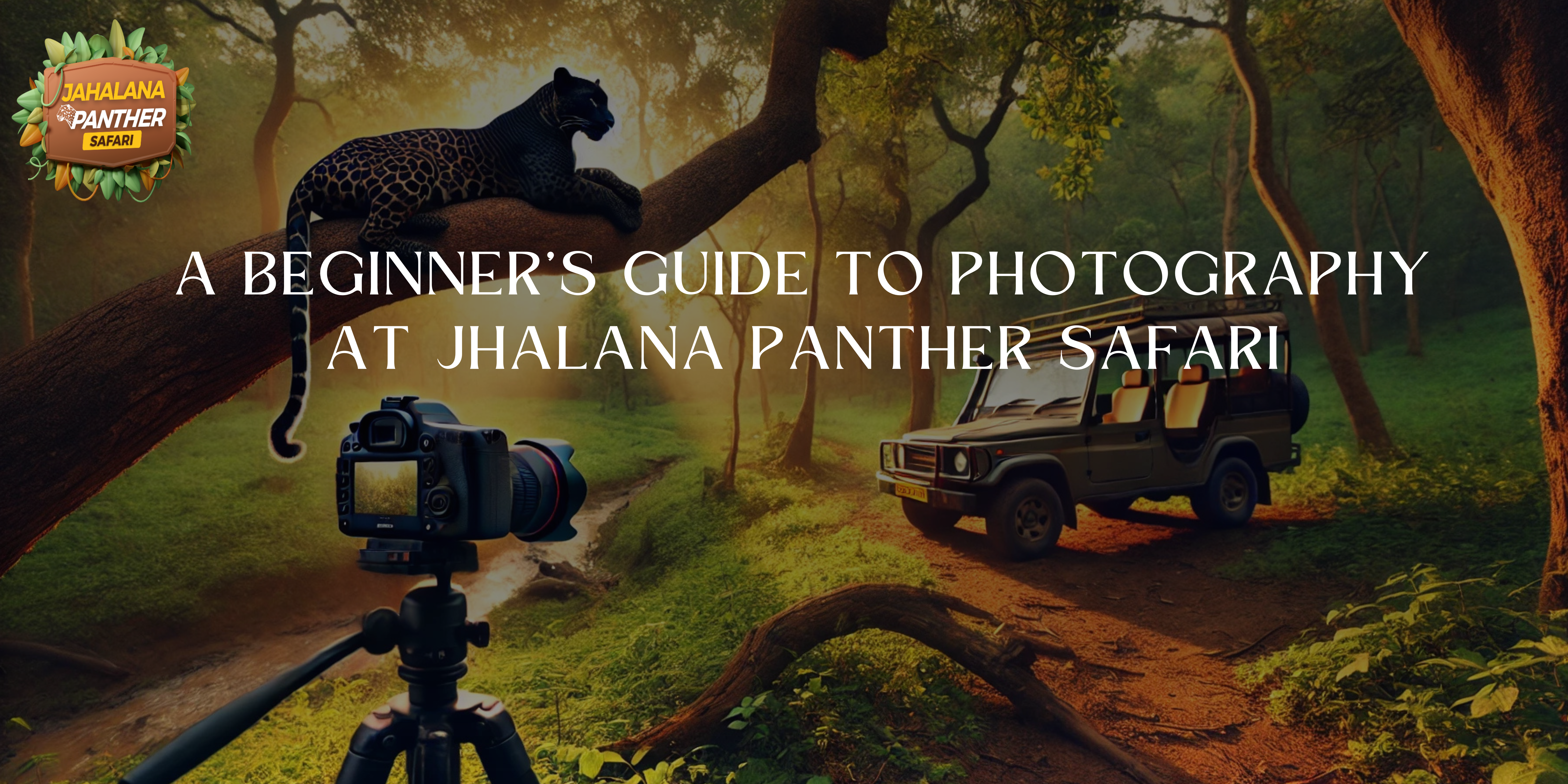 A Beginner’s Guide to Photography at Jhalana Panther Safari