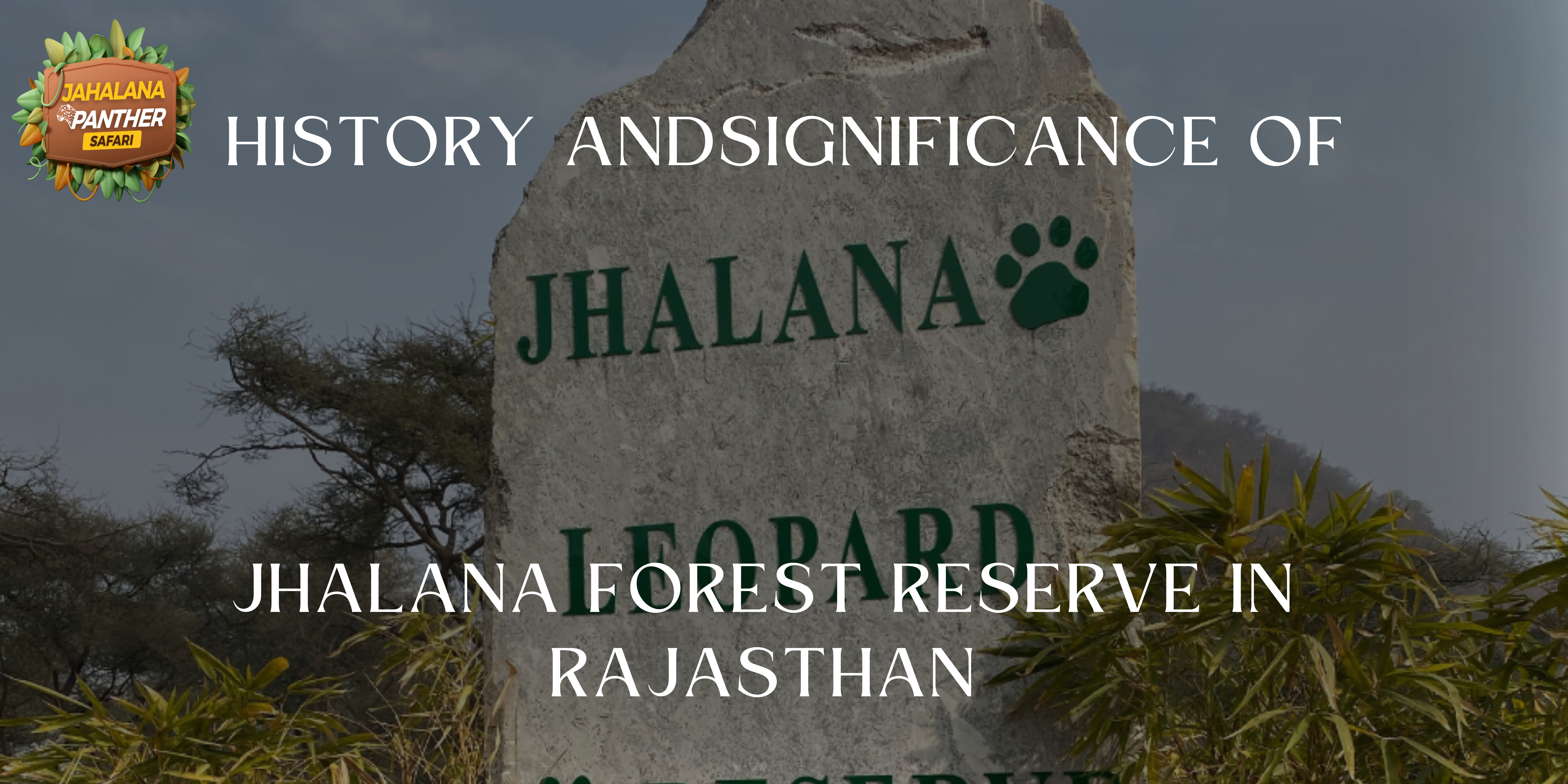 The History and Significance of Jhalana Forest Reserve in Rajasthan.