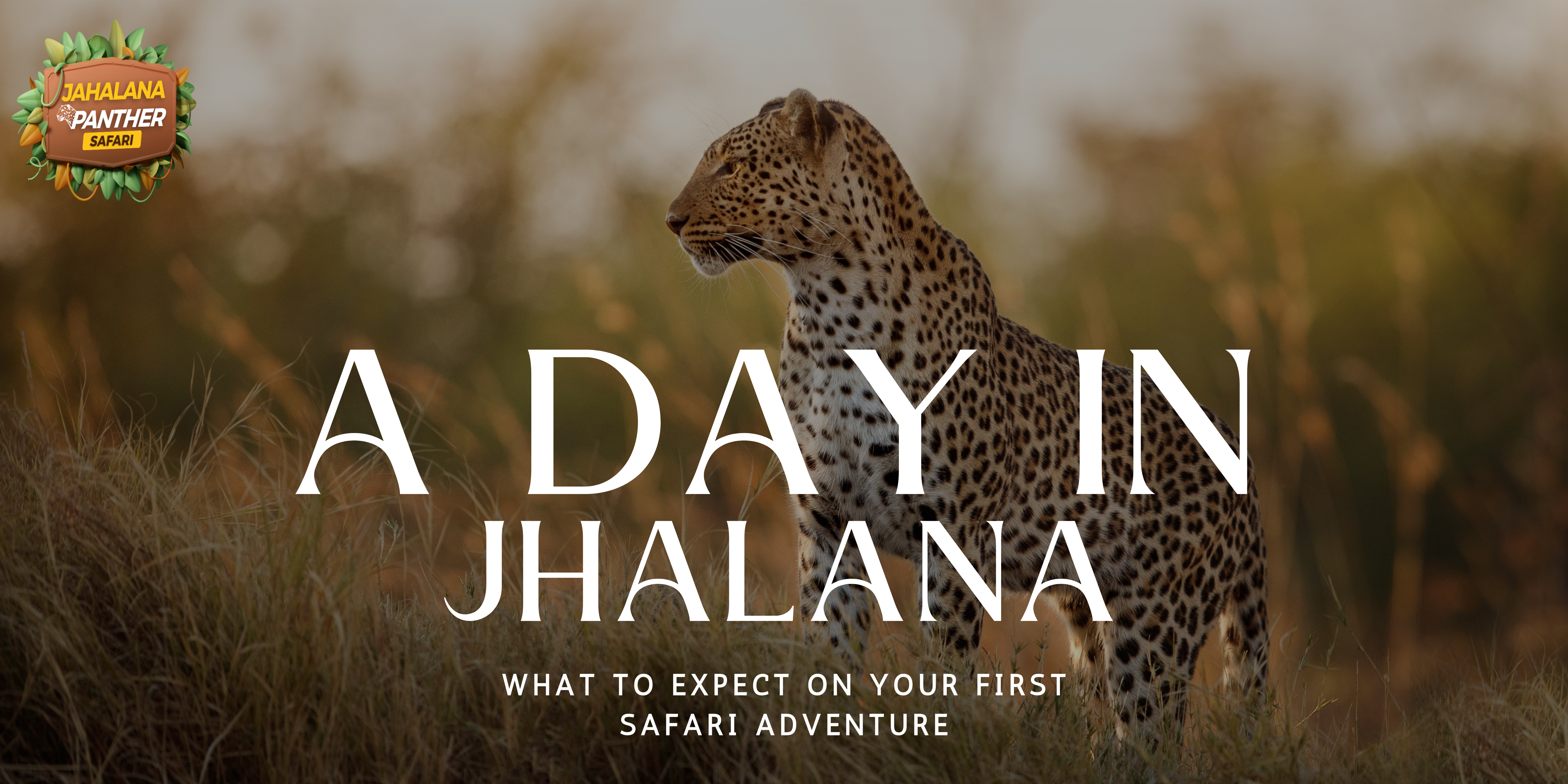 A Day in Jhalana: What to Expect on Your First Safari Adventure