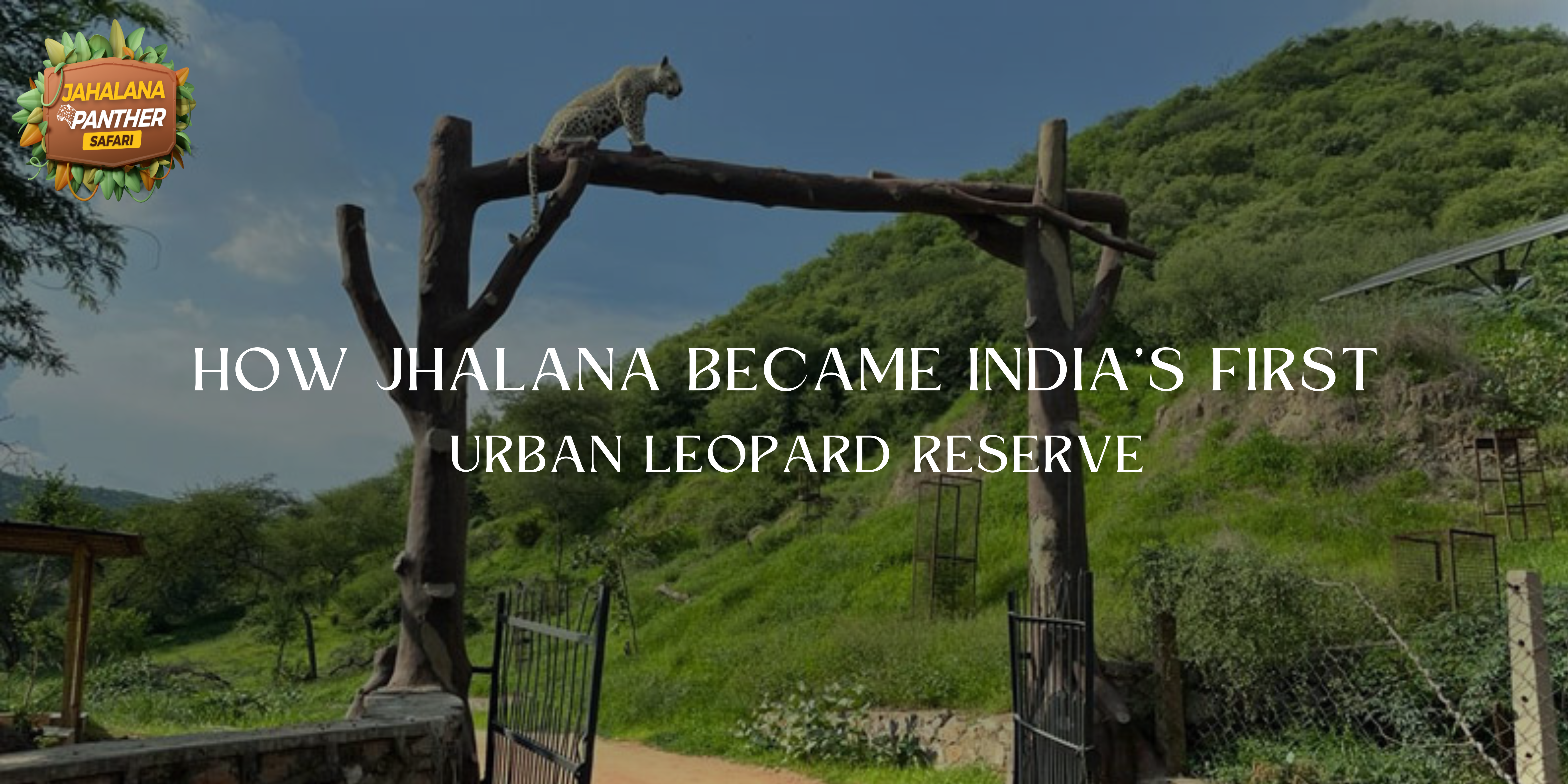 How Jhalana Became India’s First Urban Leopard Reserve