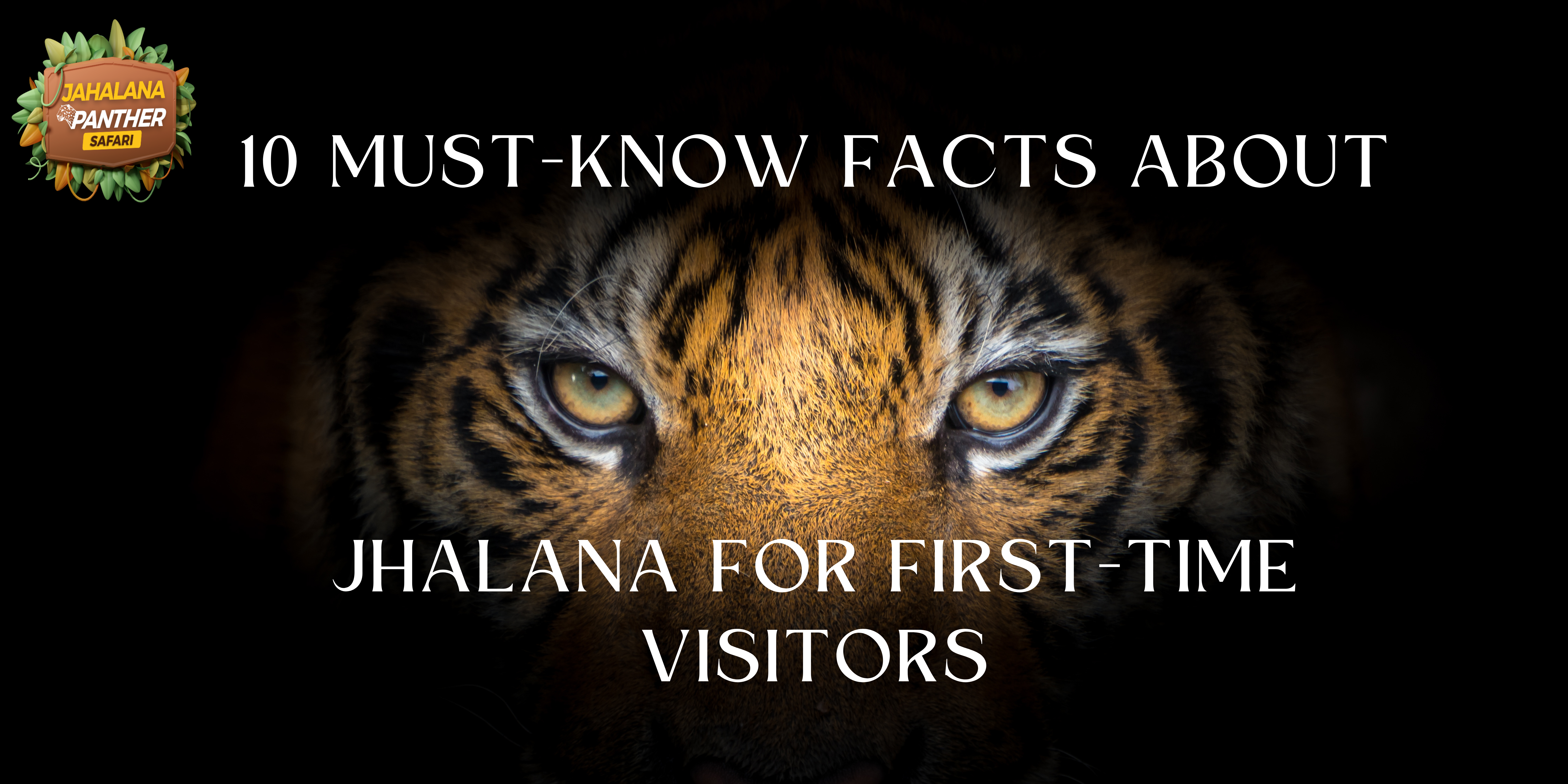 10 Must-Know Facts About Jhalana for First-Time Visitors