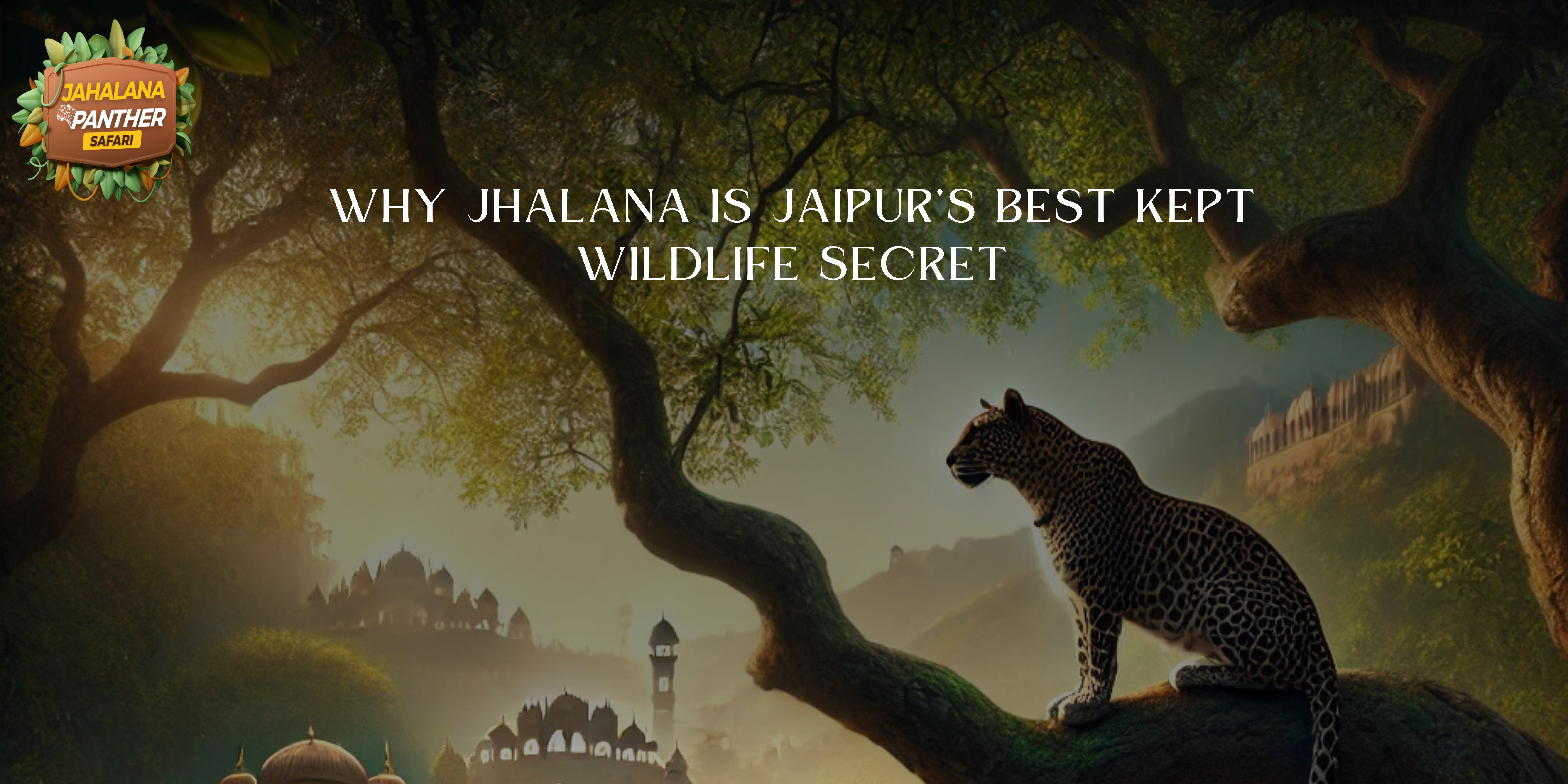 Why Jhalana is Jaipur’s Best Kept Wildlife Secret