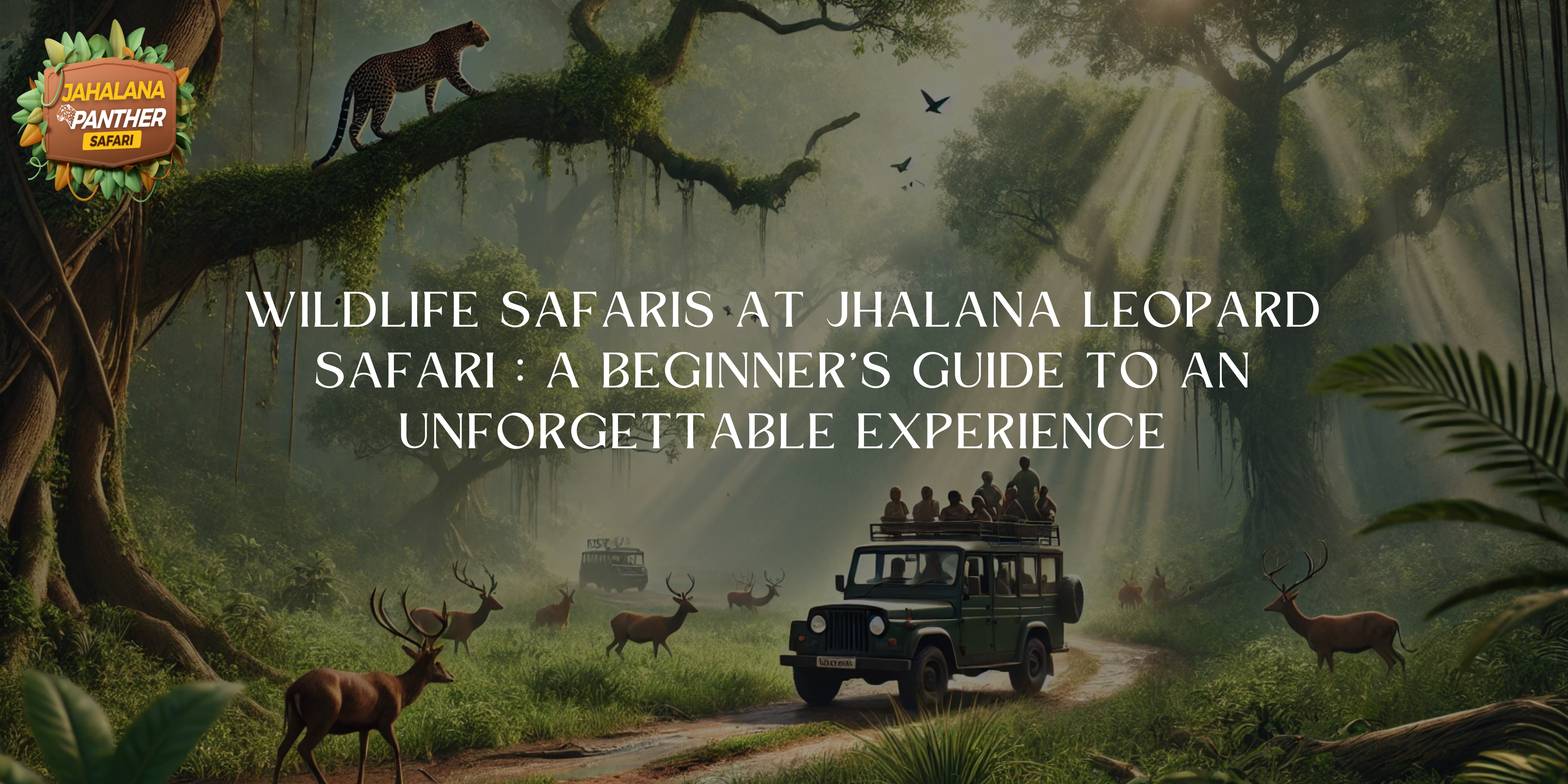 Wildlife Safari at Jhalana Leopard Safari in Jaipur : A Beginner’s Guide to an Unforgettable Experience