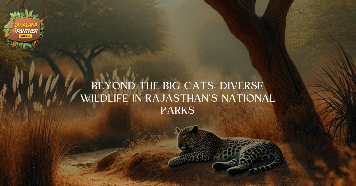 Beyond the Big Cats: Diverse Wildlife in Rajasthan’s National Parks