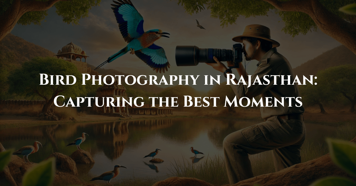 Bird Photography in Rajasthan: Capturing the Best Moments