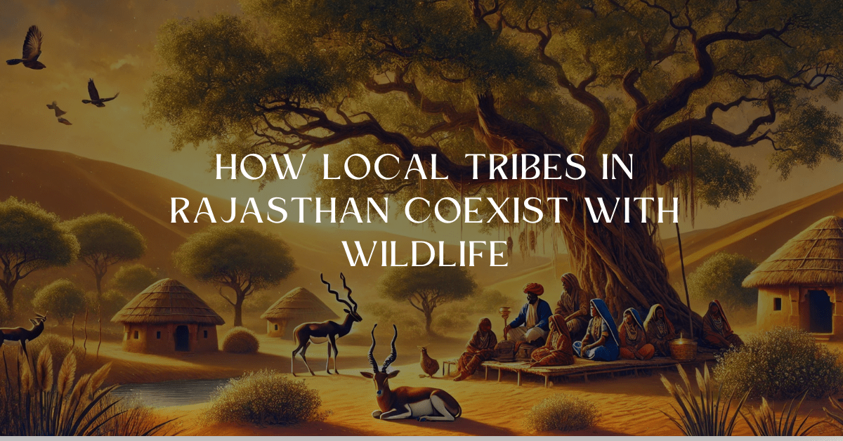 How Local Tribes in Rajasthan Coexist with Wildlife