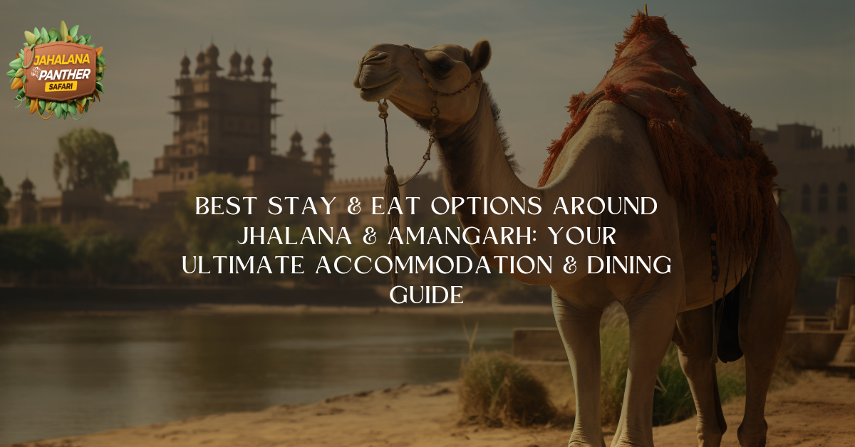 Best Stay & Eat Options Around Jhalana & Amagarh: Your Ultimate Accommodation & Dining Guide