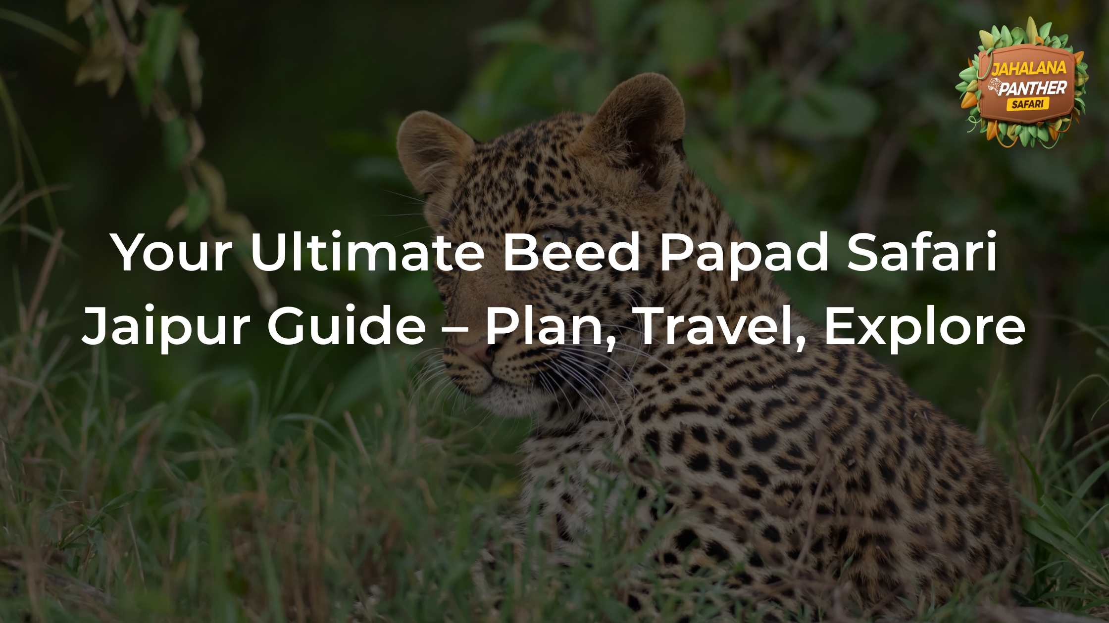 Your Ultimate Beed Papad Safari Jaipur Guide – Plan, Travel, Explore