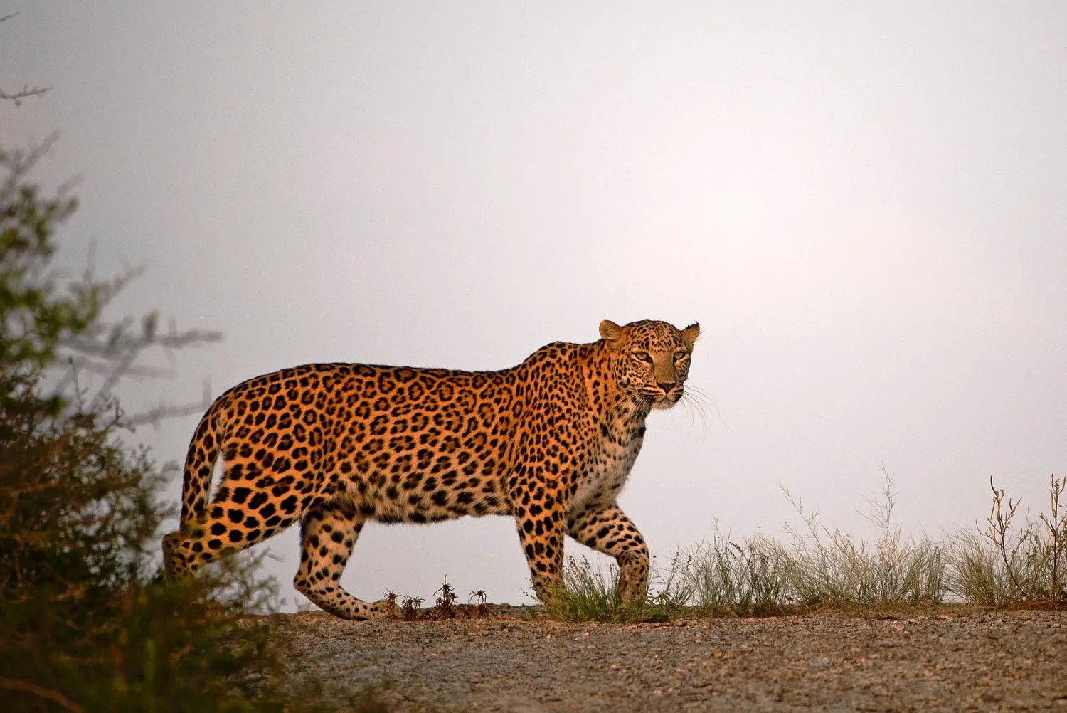 Eco-Tourism at Beed Papad: Sustainable Tourism Practices for the Conscious Traveler