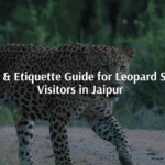 Safety & Etiquette Guide for Leopard Safari Visitors in Jaipur