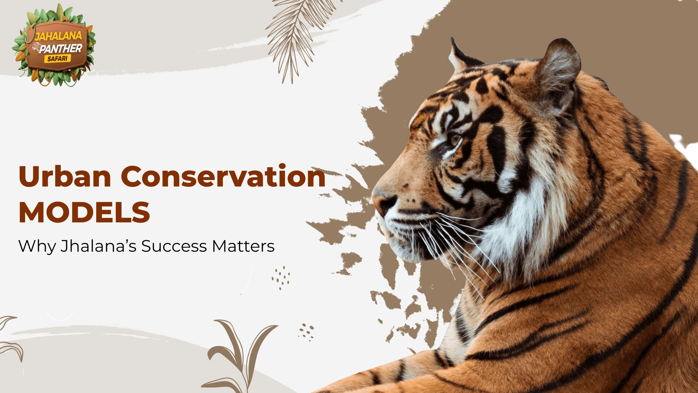 Urban Conservation Models: Why Jhalana’s Success Matters