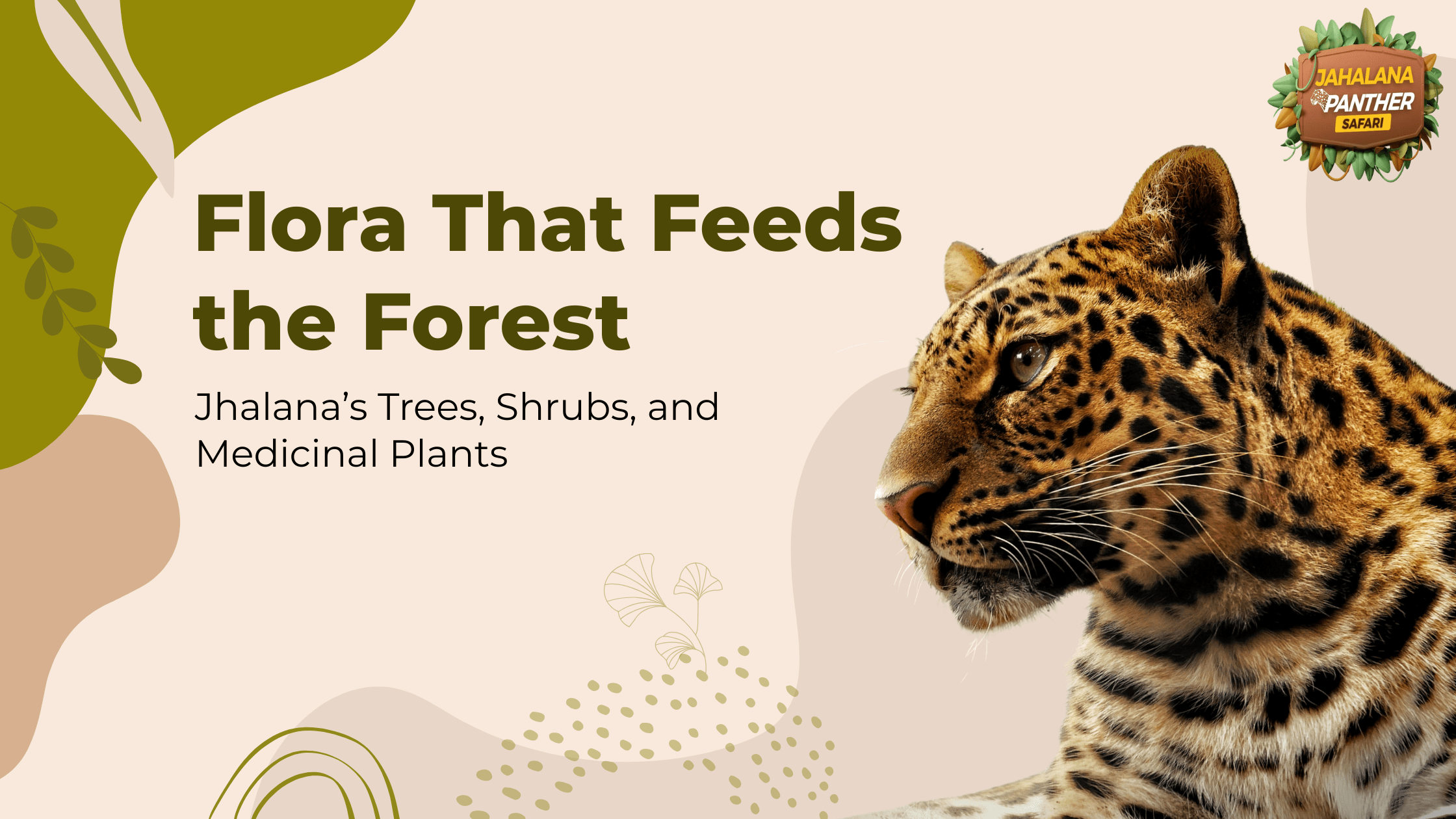 Flora That Feeds the Forest: Jhalana’s Trees, Shrubs, and Medicinal Plants