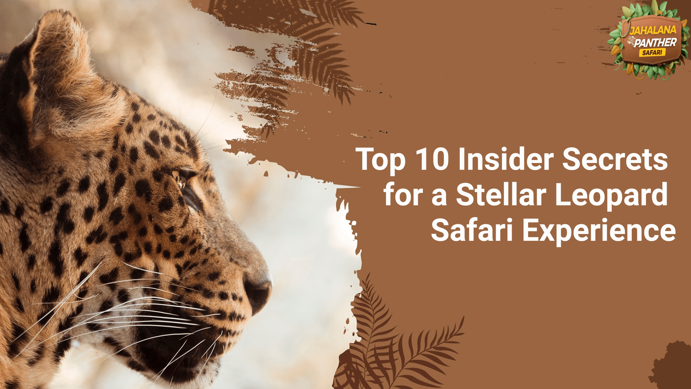 Top 10 Insider Secrets for a Stellar Leopard Safari Experience