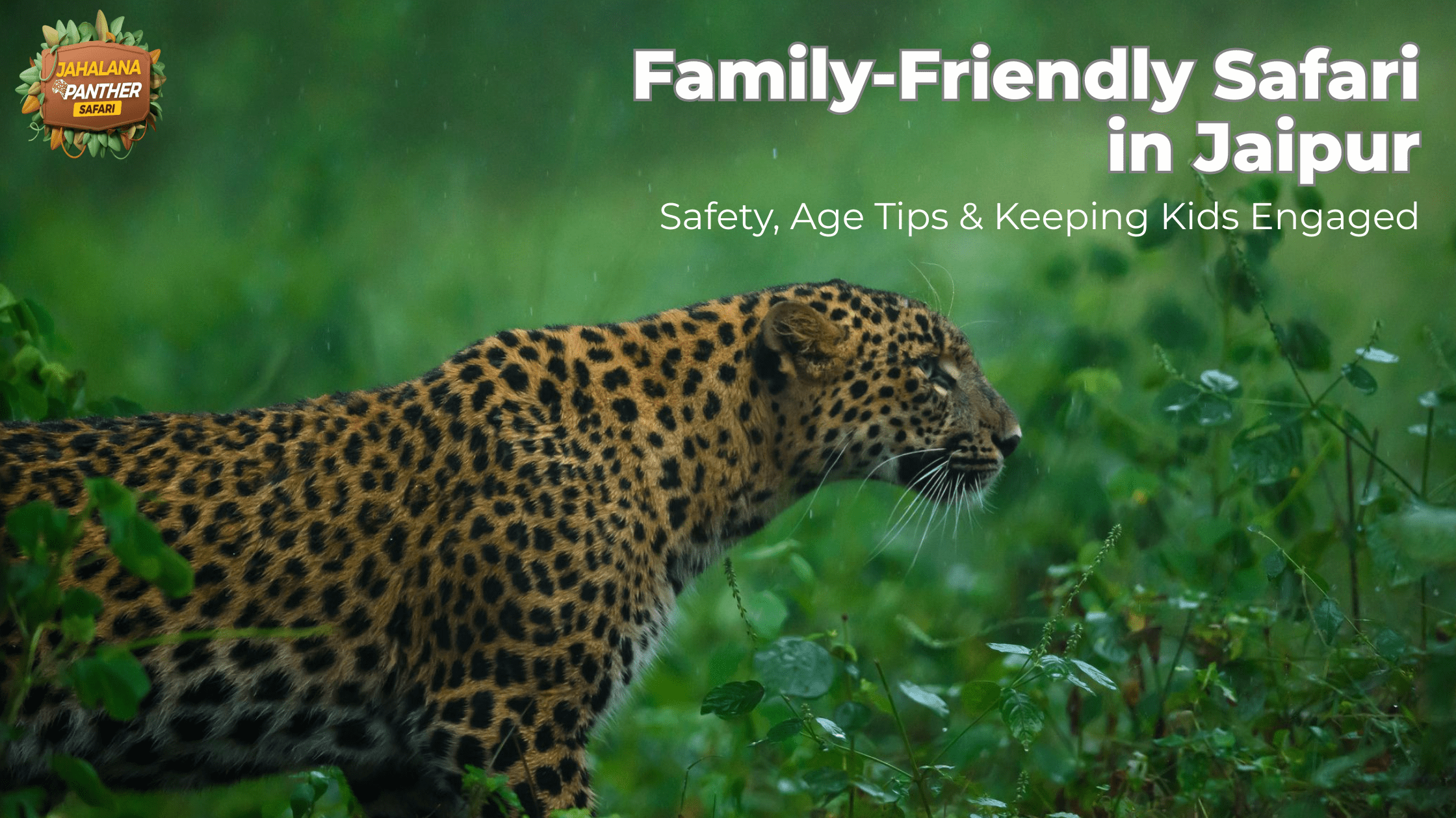 Family-Friendly Safari in Jaipur: Safety, Age Tips & Keeping Kids Engaged