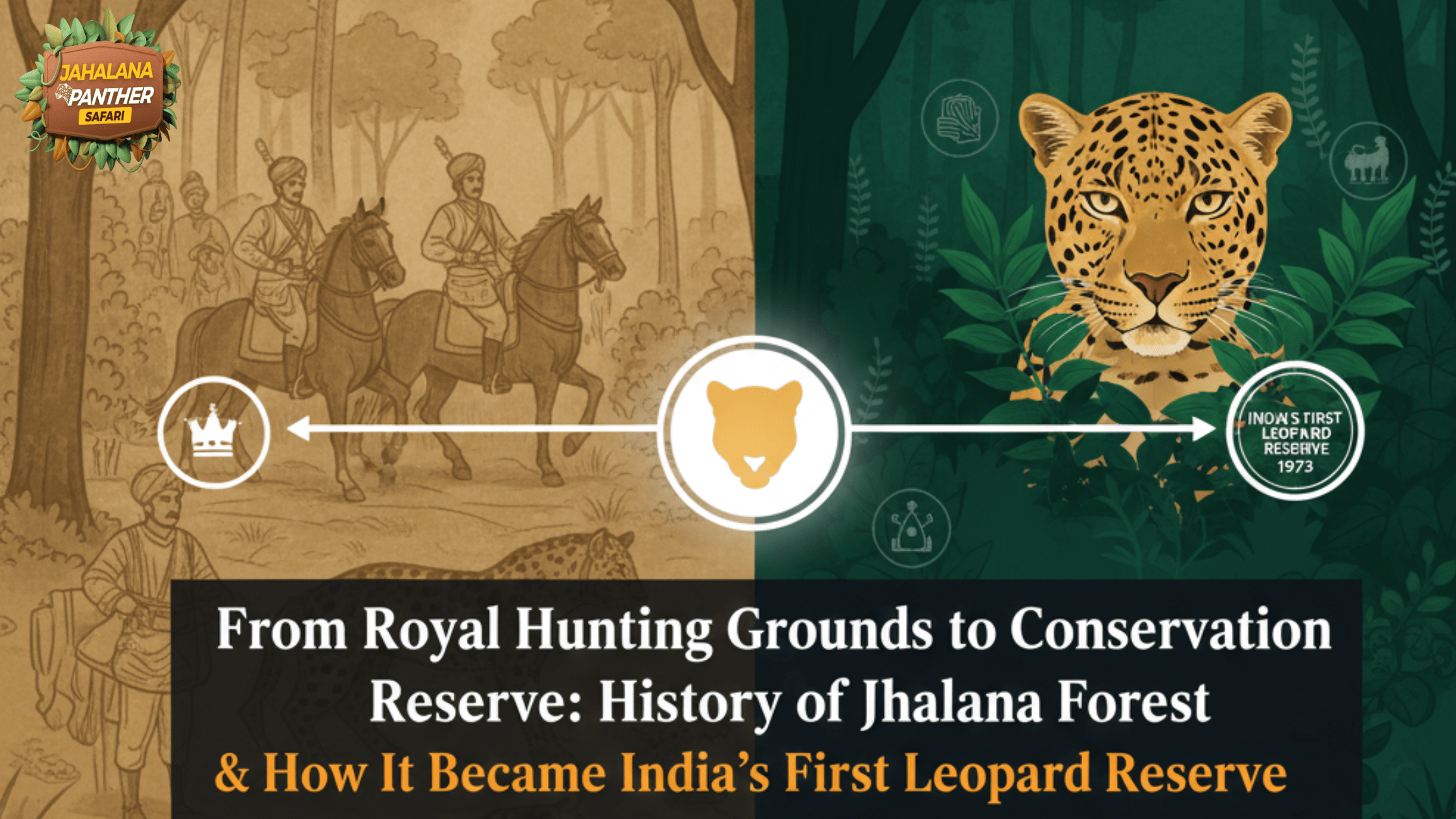 From Royal Hunting Grounds to Conservation Reserve: History of Jhalana Forest & How It Became India’s First Leopard Reserve