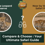 Compare & Choose: Jhalana vs. Amagarh (and Nearby Wildlife Parks)