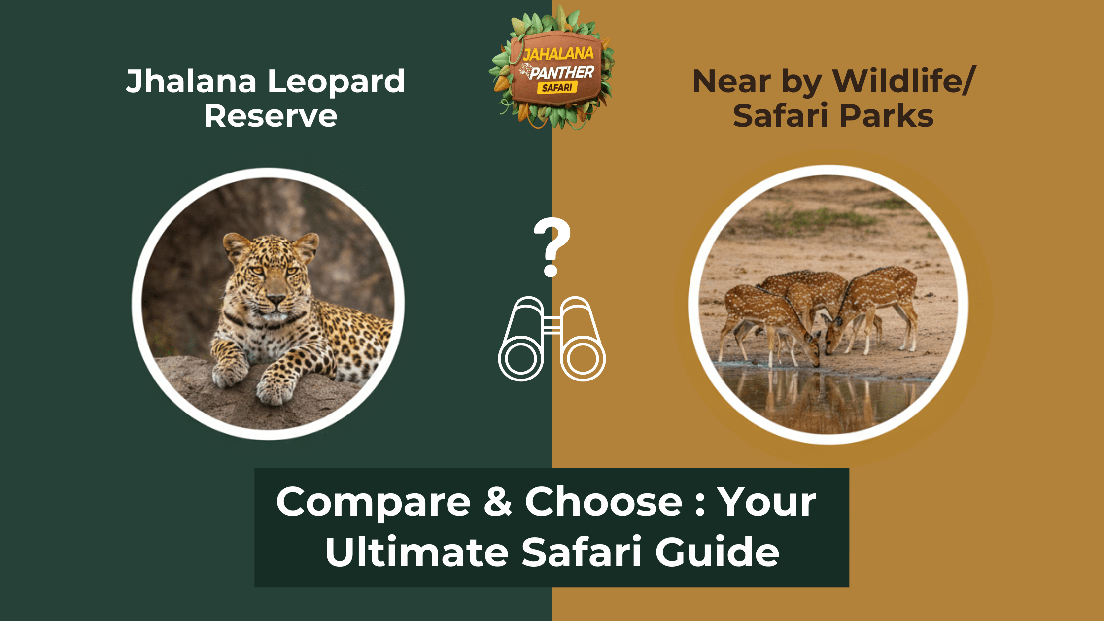 Compare & Choose: Jhalana vs. Amagarh (and Nearby Wildlife Parks) Which Leopard Safari in Jaipur is Right for You?