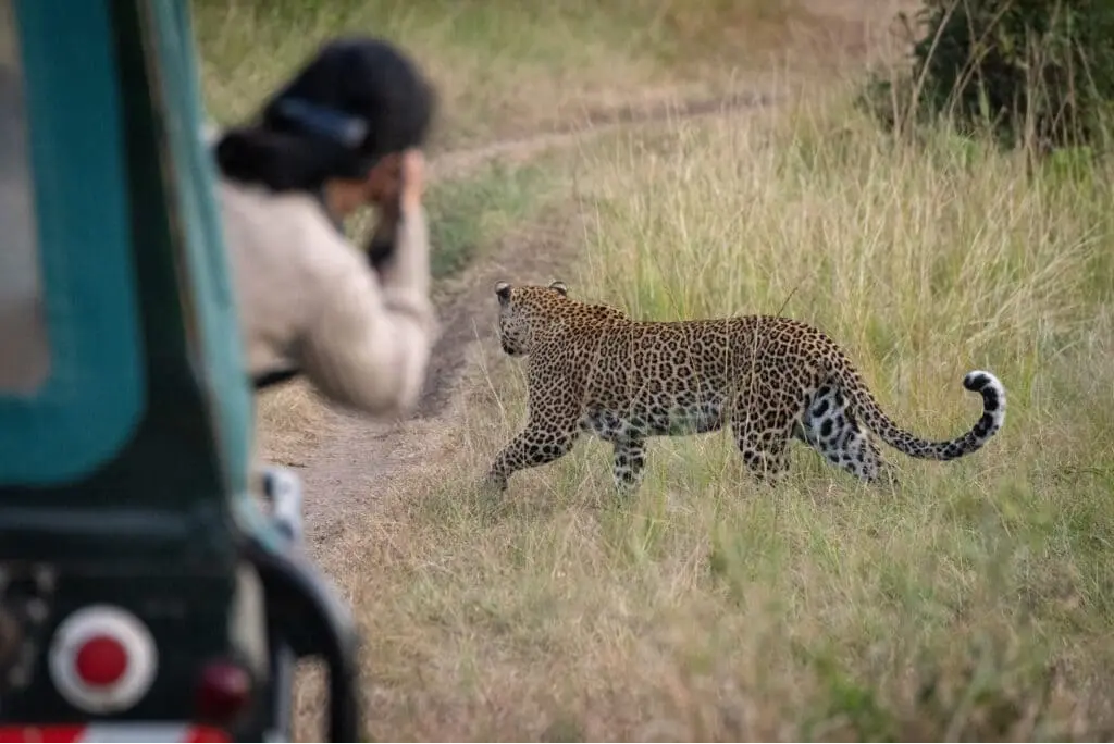 Photography Guide: How to Capture Leopards & Wildlife at Jhalana — Gear, Timing, Do’s & Don’ts
