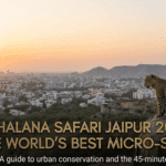 Jhalana Safari Jaipur 2026: The Rise of the World’s Best Micro-Safari