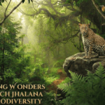 7 Stunning Wonders of the Rich Jhalana Forest Biodiversity