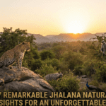 7 Remarkable Jhalana Naturalist Insights for an Unforgettable Safari (2026 Guide)