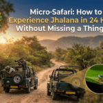 Micro-Safari: How to Experience Jhalana in 24 Hours Without Missing a Thing