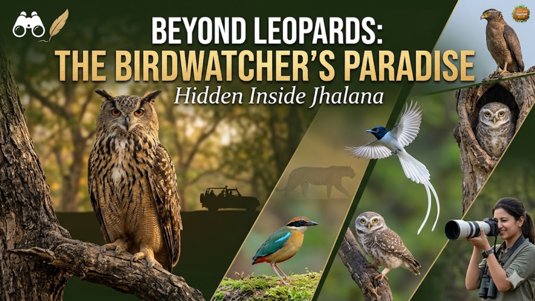 Beyond Leopards: The Birdwatcher’s Paradise Hidden Inside Jhalana