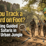 Can You Track a Leopard on Foot? Introducing Guided Walking Safaris in Jaipur’s Urban Jungle