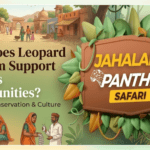 How Does Leopard Tourism Support Jaipur’s Communities? A Look at Conservation & Culture