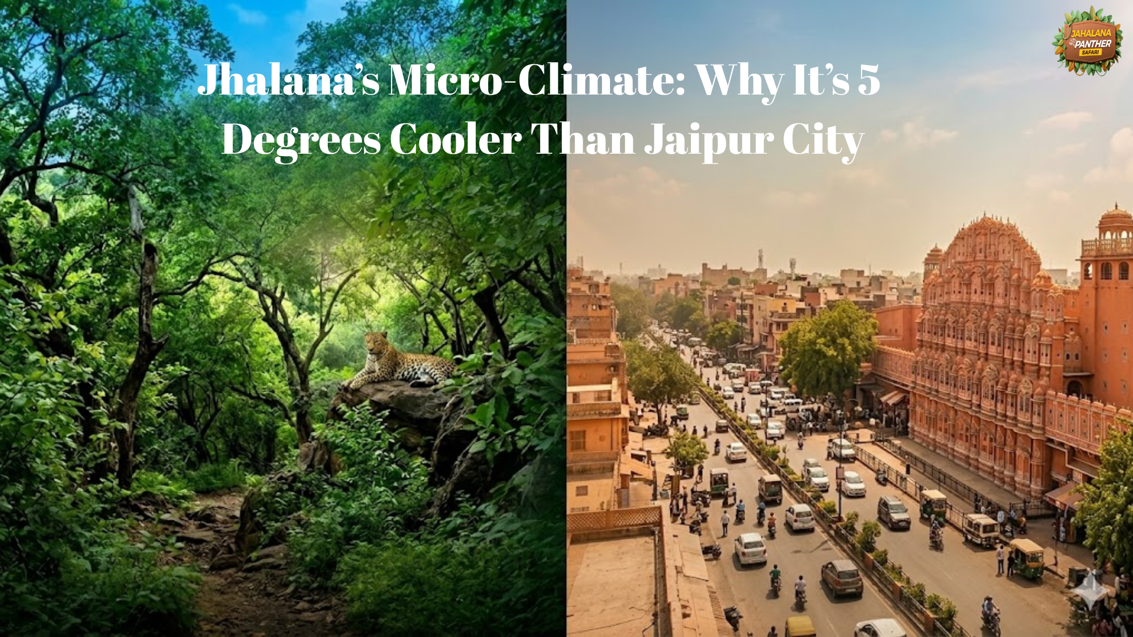 Jhalana’s Micro-Climate: Why It’s 5 Degrees Cooler Than Jaipur City