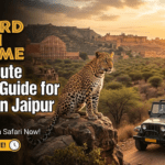 Leopard Safari Near Me: Last-Minute Booking Guide for Visitors in Jaipur
