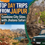 Top Day Trips from Jaipur for Foreign Travellers: Combine City Sites with Jhalana Safari