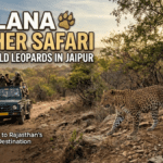 Jhalana Panther Safari: Spotting Wild Leopards in Jaipur