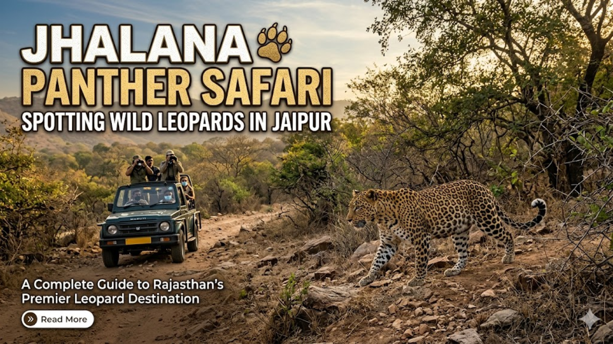 Jhalana Panther Safari: Spotting Wild Leopards in Jaipur
