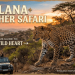 Jhalana Panther Safari: The Ultimate 2026 Guide to Jaipur’s Wild Heart