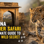 Jhalana Panther Safari: The Ultimate Guide to Jaipur’s Wild Secret