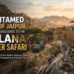 The Untamed Heart of Jaipur: The Definitive 2026 Guide to the Jhalana Panther Safari
