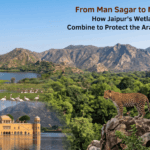 From Man Sagar to Mangarh Lake: How Jaipur’s Wetlands and Jhalana Combine to Protect the Aravalli Ecosystem