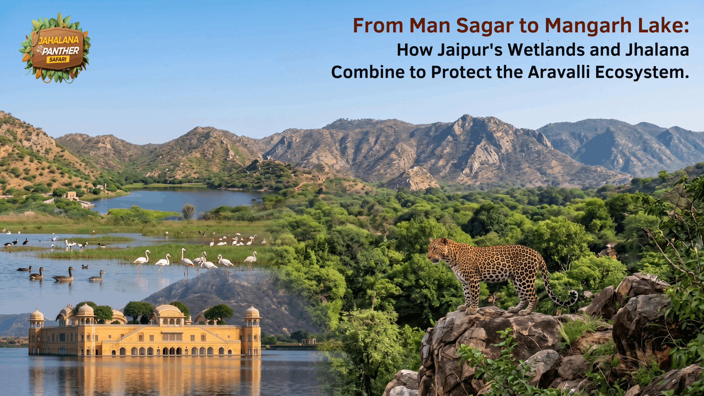 From Man Sagar to Mangarh Lake: How Jaipur’s Wetlands and Jhalana Combine to Protect the Aravalli Ecosystem