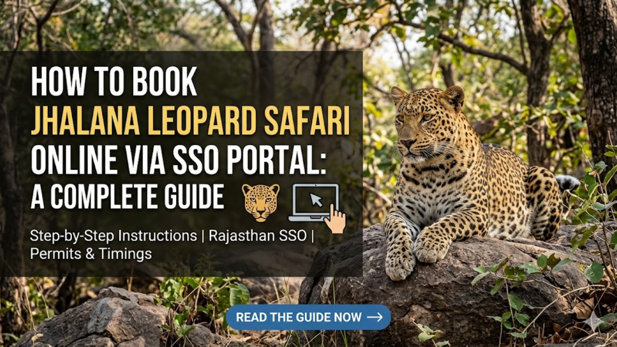 How to Book Jhalana Leopard Safari Online via SSO Portal: A Complete Guide