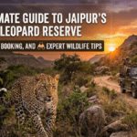 What, Why & How: The Ultimate Jaipur Leopard Safari Guide