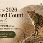 Jaipur’s 2026 Leopard Count Explained: What 62 Leopards Across Protected Forests Means for Jhalana