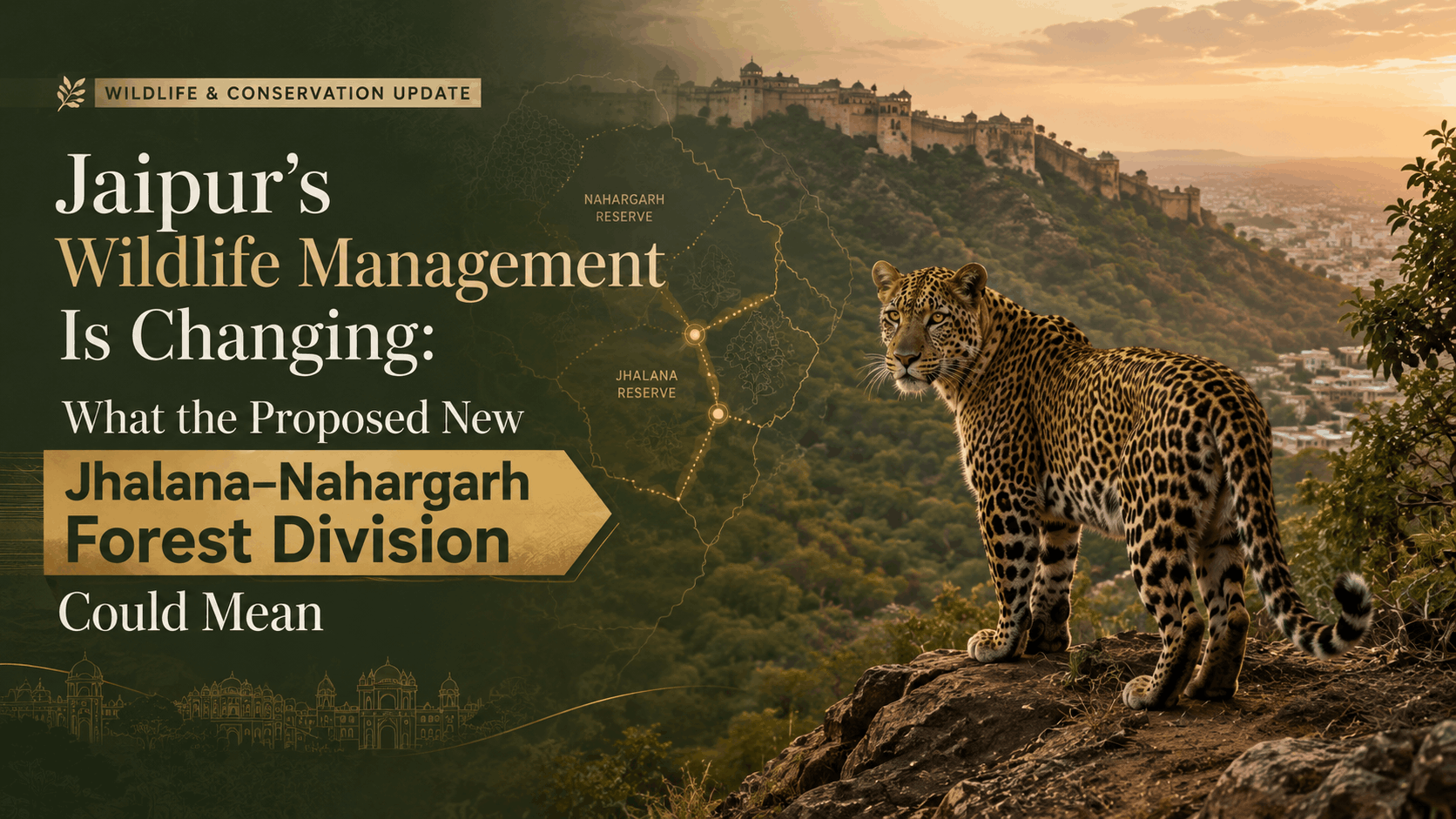 Jaipur’s Wildlife Management Is Changing: What the Proposed New Jhalana–Nahargarh Forest Division Could Mean